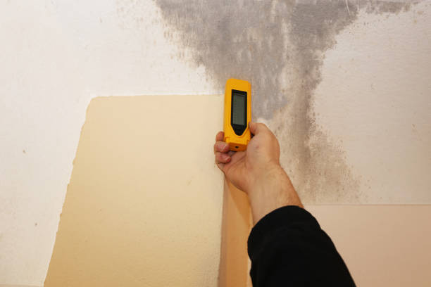 Best Biohazard Mold Removal  in De Soto, MO