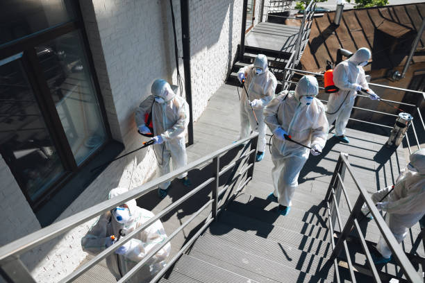 Best Water Damage & Mold Remediation  in De Soto, MO