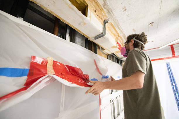Best Airborne Mold Testing  in De Soto, MO