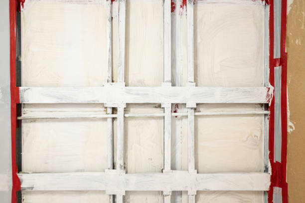 Best Mold Removal for HVAC Installations  in De Soto, MO