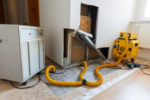 Best Industrial Mold Remediation  in De Soto, MO